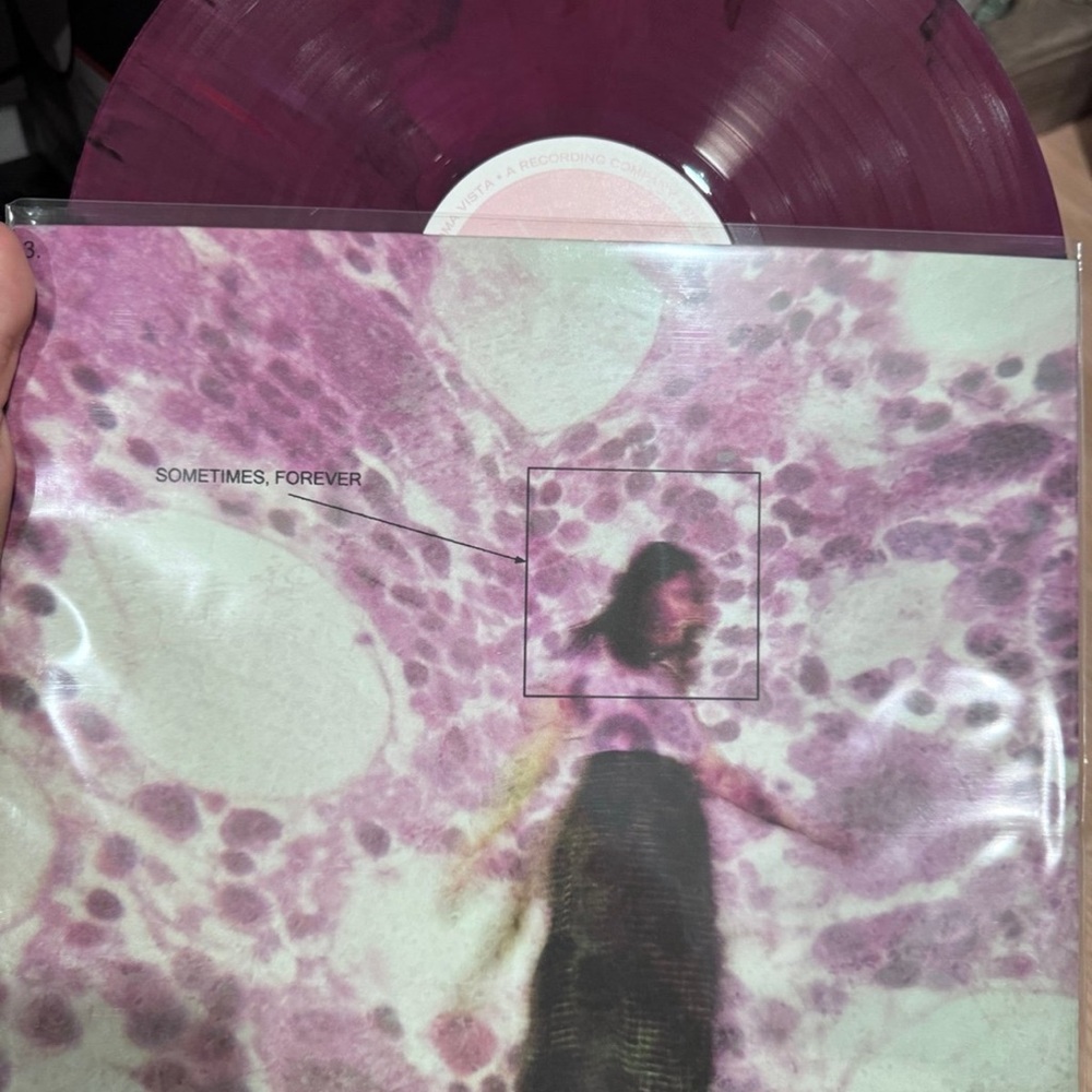Soccer mommy Vinyl Record